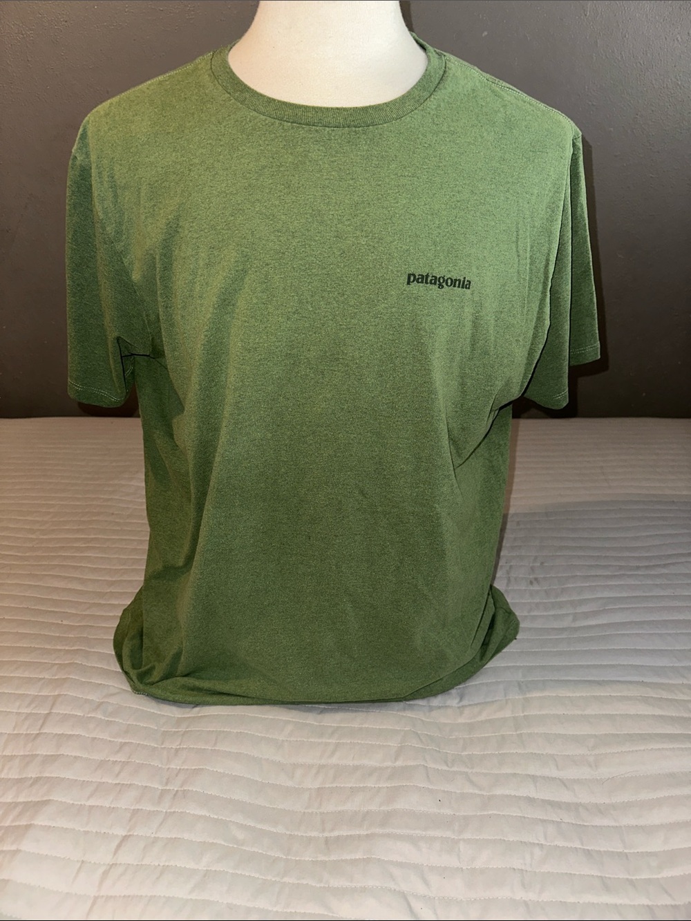 Patagonia Green Crew Neck Short Sleeve Tee